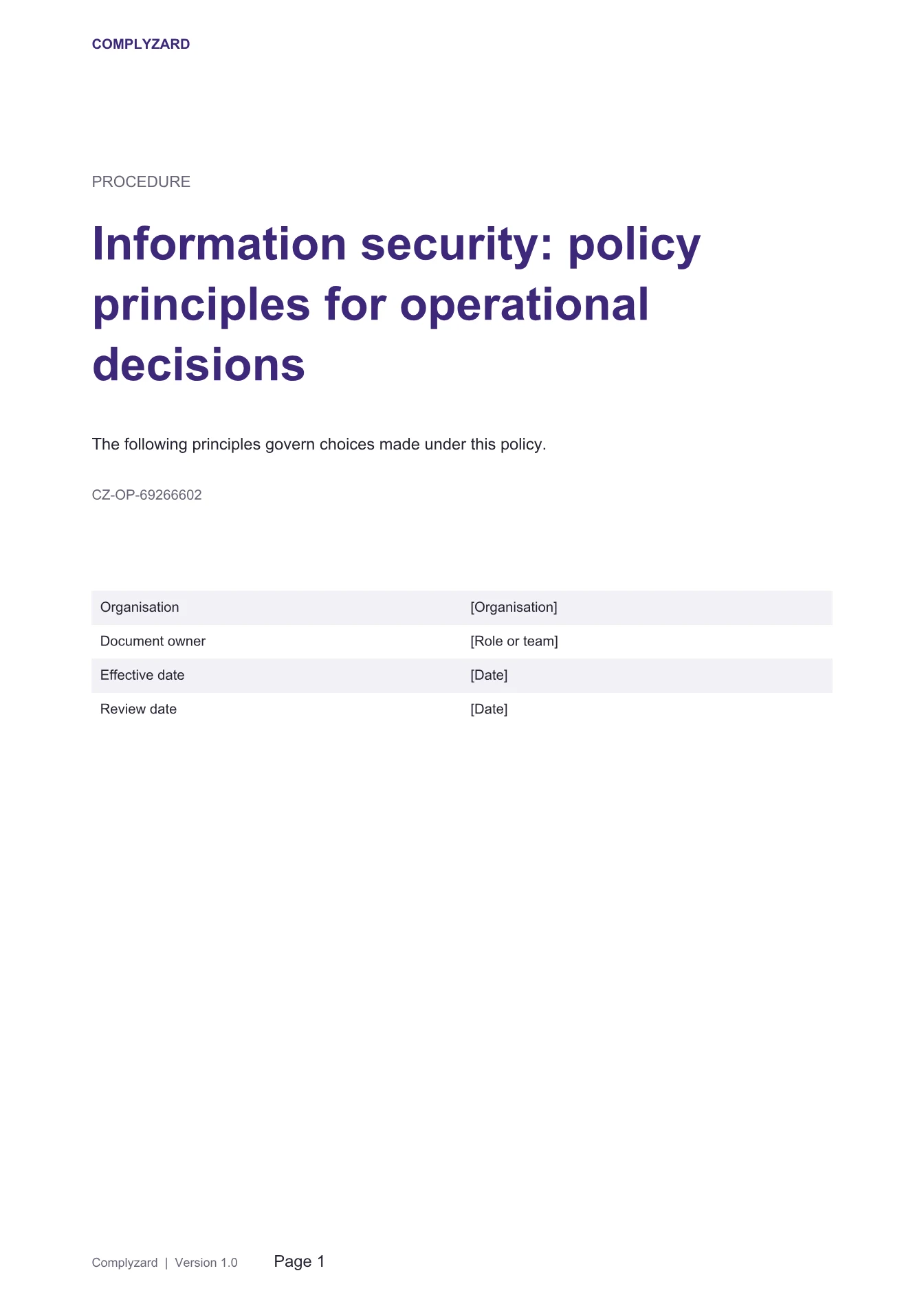 Cover of Information security: policy principles for operational decisions