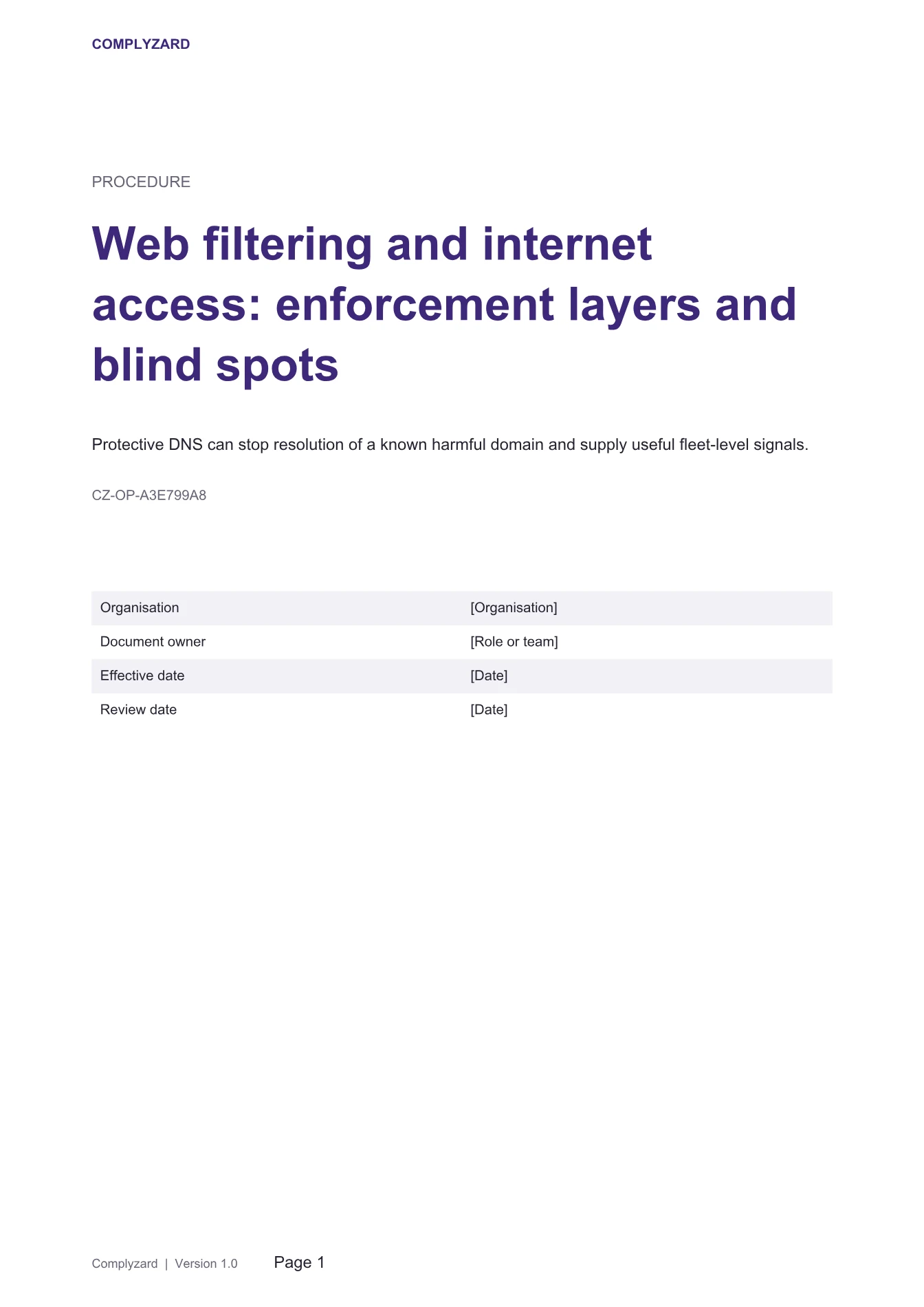 Cover of Web filtering and internet access: enforcement layers and blind spots